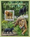 Big Cats