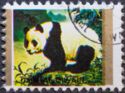Giant Panda (Ailuropoda melanoleuca)