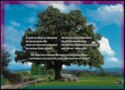 Large tree in front of Odenwald mountains and poem