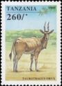 Common Eland (Taurotragus oryx)