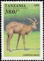 Great Kudu (Tragelaphus Strepsicerus)