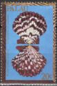 Royal Cloak Scallop (Cryptopecten pallium)