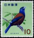 Lidth's Jay (Garrulus lidthi)