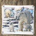 The Polar Bears