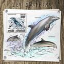 Dolphins