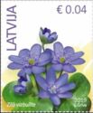 Liverleaf (Hepatica nobilis)