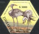 Blue Crane (Anthropoides paradisea)