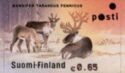 Finnish Forest Reindeer (Rangifer tarandus fennicus)