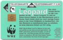 WWF - Leopard (Leopard)