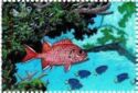 Squirrelfish