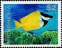 Foxface Rabbitfish (Siganus vulpinus)