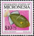 Pinktail triggerfish