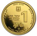 1 New Sheqel (Adam and Eve)