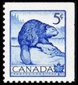 North American Beaver (Castor canadensis) - Top & RH Imperf