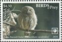 Asian Barred Owl (Glaucidium cuculoides)