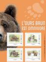 Brown Bear (Ursus arctos)