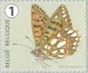 Queen of Spain Fritillary (Issoria lathonia)