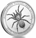 1 Dollar (Funnel-Web Spider)