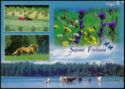 Suomi Finland - tractor in hay, running horse, flowers, cattle in shallow lake