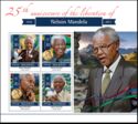 25th Anniversary of the Liberation of Nelson Mandela