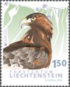 Golden Eagle (Aquila chrysaetos)