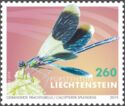 Banded Demoiselle (Calopteryx splendens)