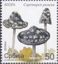 Magpie Inkcap (Coprinopsis picacea)