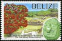 Altun Ha Archaeological Reserve, Belize District