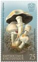 Yellow-Staining Mushroom (Agaricus xanthodermus)