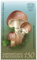 Deadly Dapperling (Lepiota brunneoincarnata)