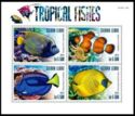 Tropical Fishes