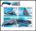 Whales