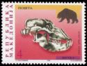 Cave Bear (Ursus spelaeus)