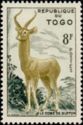 Buffon's Kob (Kobus kob)