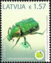 Noble Chafer (Gnorimus nobilis)