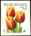Tulip Triumph "Kees Nelis" Self-adhesive Top Imperforate