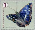 Lesser Purple Emperor (Apatura ilia)