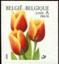 Tulip Triumph "Kees Nelis" Self-adhesive Right + Top Imperf