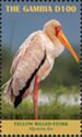 Yellow-billed Stork (Mycteria ibis)