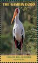 Yellow-billed Stork (Mycteria ibis)