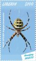 Wasp Spider (Argiope bruennichi)