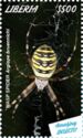 Wasp Spider (Argiope bruennichi)