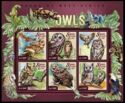 Owls
