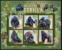 Western Lowland Gorilla (Gorilla gorilla gorilla)