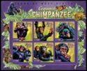 Common Chimpanzee