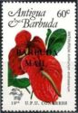 Anthurium (Anthurium andraenum) - Overprinted