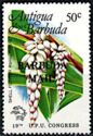 Shell flower (Alpinia nutans) - Overprinted