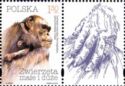 Chimpanzee (Pan troglodytes) - Label 2 Right