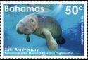 West Indian Manatee (Trichechus manatus)