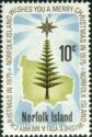 Star over Norfolk Island Pine and Map